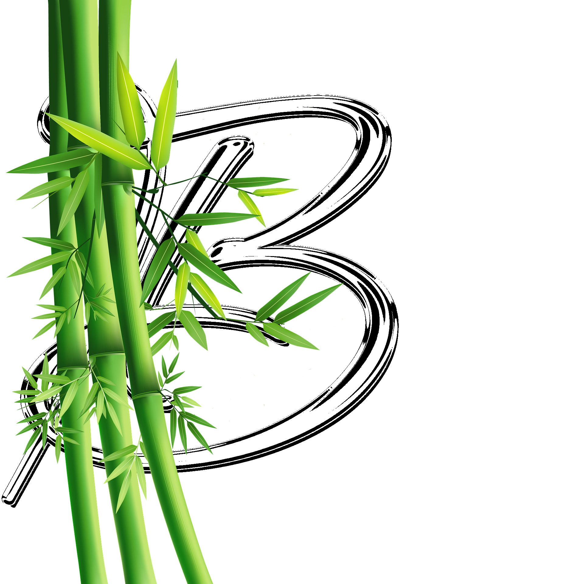 fleuriste-orgeval-bambou